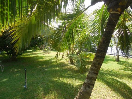 Lagoon Herbal Garden